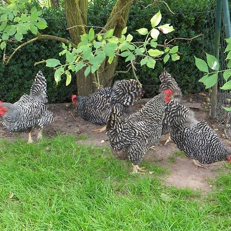 Ferienhaus Wiedmann Haundorf Zewnętrze zdjęcie